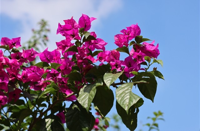 修心的网名有内涵的