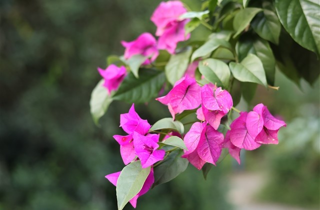 修心的网名有内涵的