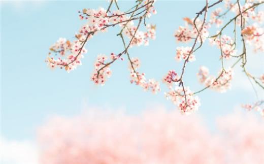 说说大全2023最新版的