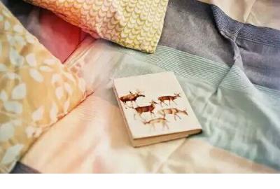 大学生步入社会的感悟