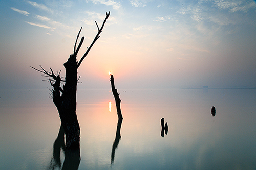 排比句奋斗22句