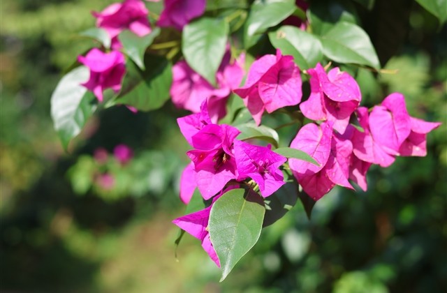 抖音女生高冷霸气昵称