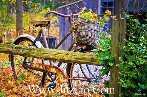 感情一夜就成灰，曾经燃烧的再火热也会落寞