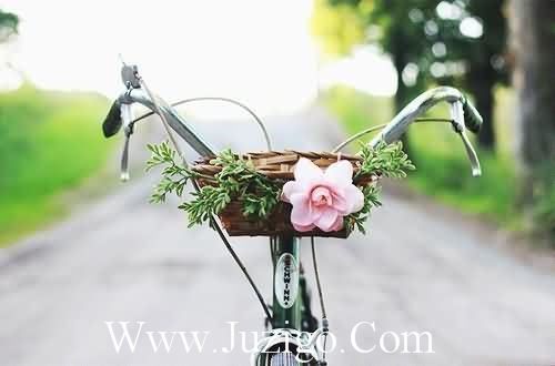 多数人的终其一生,也许就是过好平凡而简单的人生吧