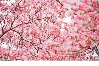 朋友圈搞笑文案大全