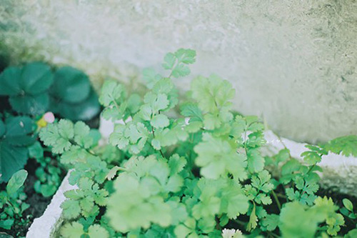 孙悟空钻进铁扇公主肚子里歇后语31句