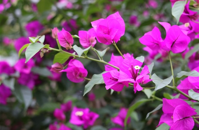 热爱生活的网名女