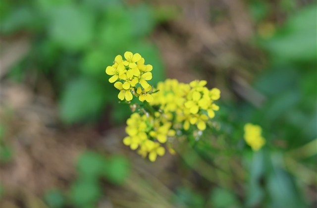 6个字的个性网名