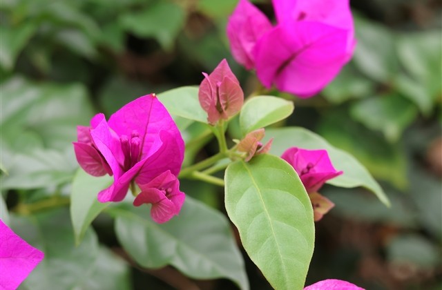 关于冬天的温柔文案短句