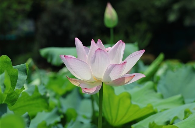 互联网上很火的小众网名 个性网名高级小众