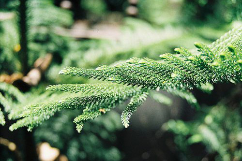 大学毕业寄语一段话83句