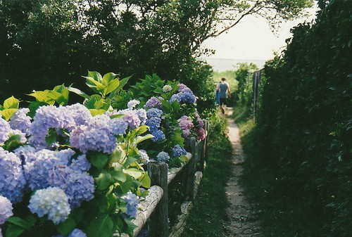 秋天写拟人句43句