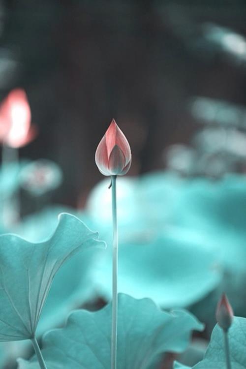 2023写给闺蜜的生日祝福语说说