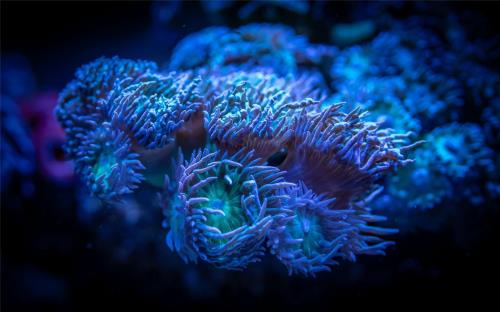 微信个性签名霸气简短