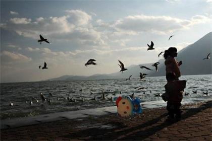 关于久久无法释怀的心痛说说