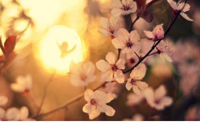 晒娃发朋友圈的语录