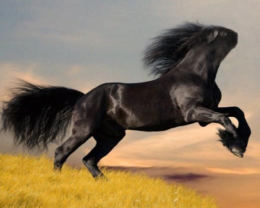 晒娃发朋友圈的语录