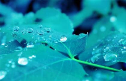 不要做女强人的说说