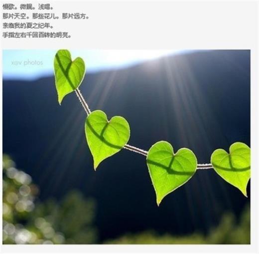 说说情人节和七夕节的区别