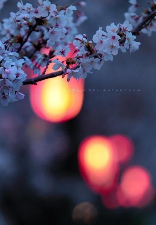 适合在平安夜说的话