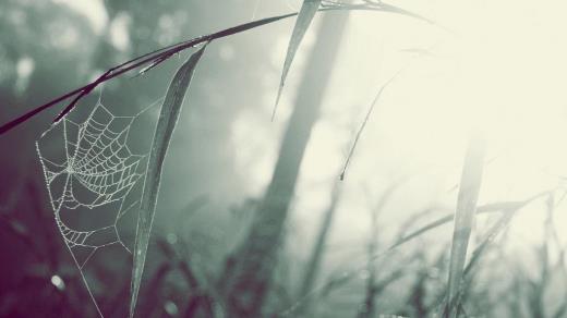 长发剪短发剃鬓角