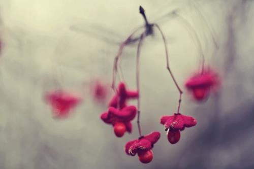 告别长发剪了短发说说