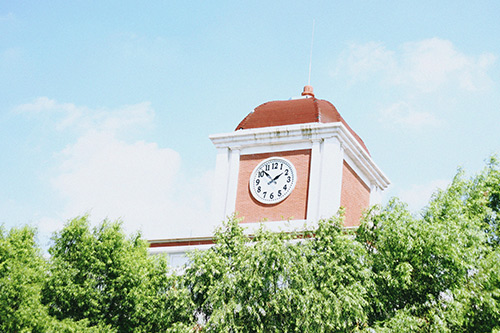 牛蹄子的歇后语24句