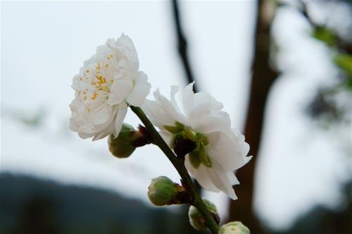 让自己清醒最狠的话说说