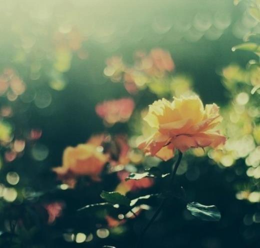 让自己清醒最狠的话说说