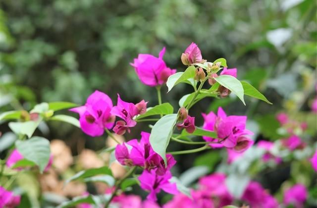 跟姐妹告别的话 跟姐妹告别的话