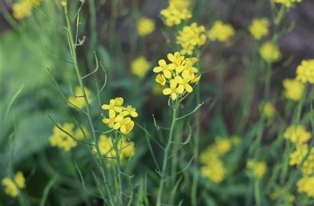 青年节文案简短 青年节文案简短
