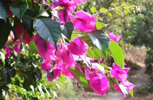 感悟生活的朋友圈句子