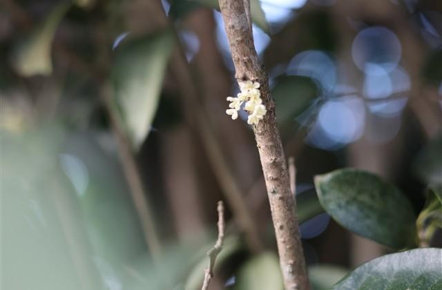 发朋友圈的潮流短句