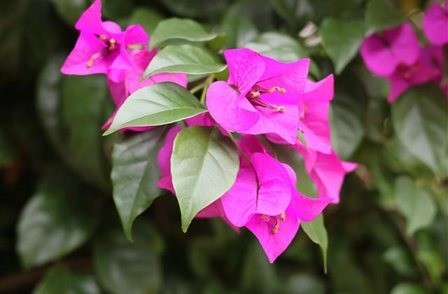 团队聚会发朋友圈的说说 团队聚会发朋友圈的说说