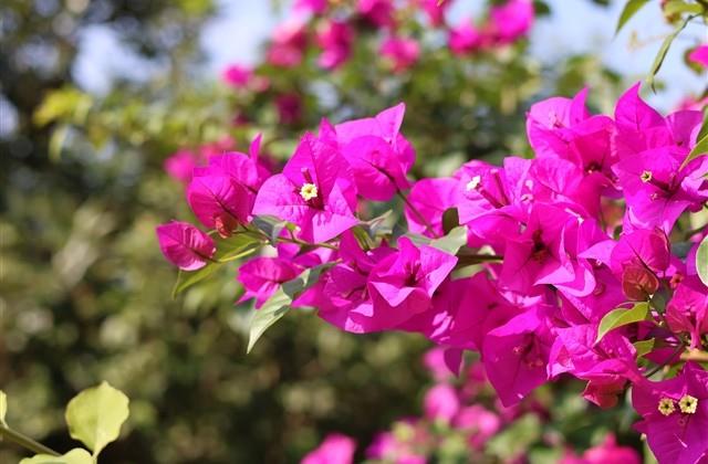 一眼就很喜欢的昵称