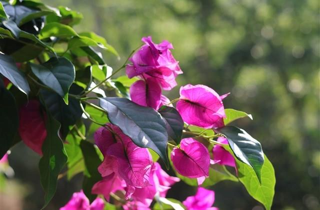 关于防溺水的标语警示语(精选) 关于防溺水的标语警示语(精选)