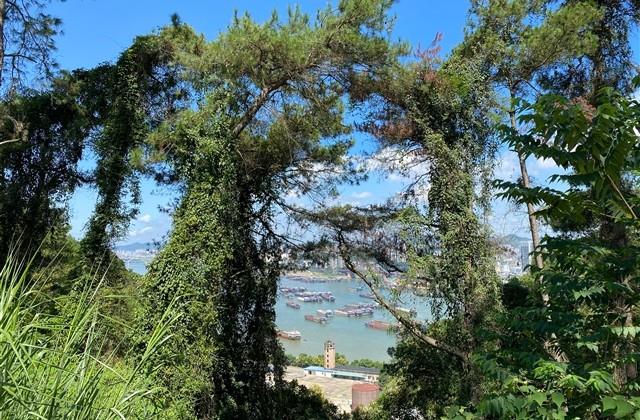 爱一个人又不能在一起的说说句子 爱一个人又不能在一起的说说句子