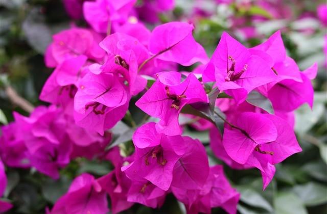 关于备胎的说说 关于备胎的说说