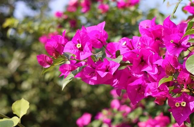 形容很远的句子