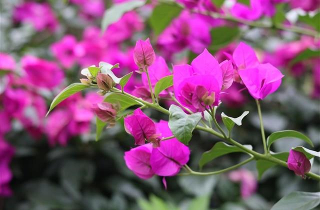 高情商晒娃句子朋友圈