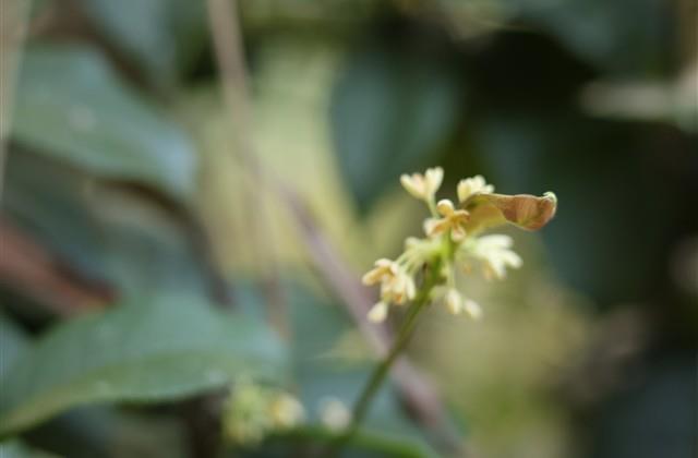 描述一瞬间的句子短句(汇总70句)