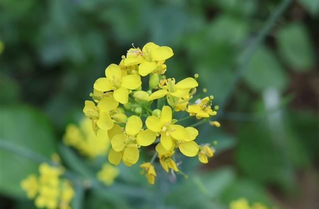 遇到你很庆幸的说说 很庆幸遇见你经典短句