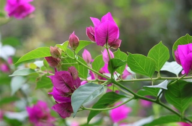 旅游结束感言经典语录