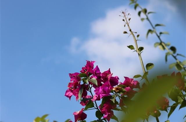 朋友圈表达迷茫的句子说说(必备64句) 朋友圈表达迷茫的句子说说(必备64句)