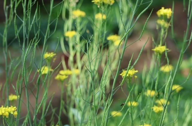 钱害了多少人经典说说 钱害了多少人经典说说