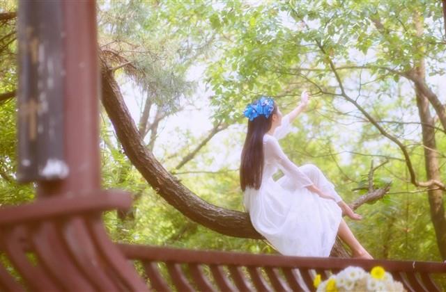 感觉没依靠的伤感说说(58句) 感觉没依靠的伤感说说(58句)