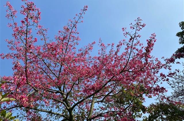 怀念童年的经典说说 怀念童年的经典说说