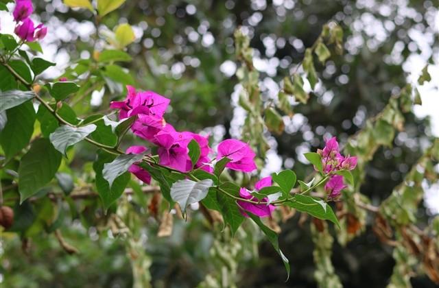 个性说说心情句子大全 个性说说心情句子大全