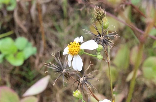 正式告别一段感情的话 正式告别一段感情的话