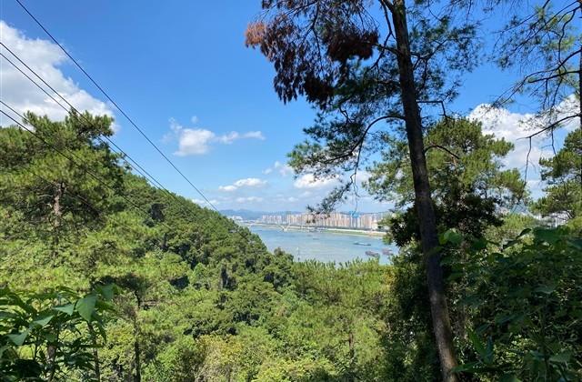 关于珍惜的句子摘抄 关于珍惜的句子摘抄